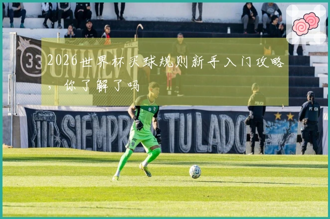 2026世界杯买球规则新手入门攻略，你了解了吗