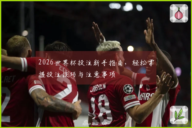 2026世界杯投注新手指南，轻松掌握投注技巧与注意事项