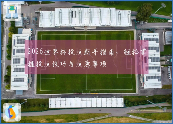 2026世界杯投注新手指南，轻松掌握投注技巧与注意事项
