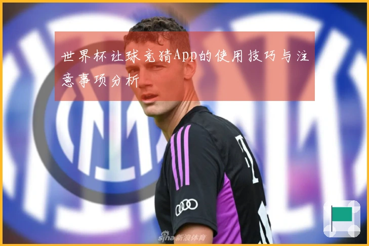 世界杯让球竞猜App的使用技巧与注意事项分析
