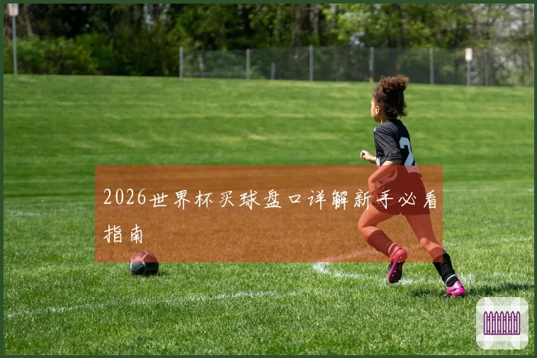 2026世界杯买球盘口详解新手必看指南