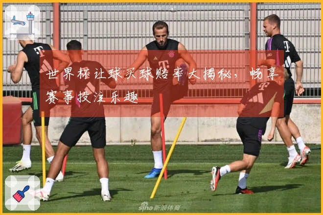 世界杯让球买球赔率大揭秘，畅享赛事投注乐趣