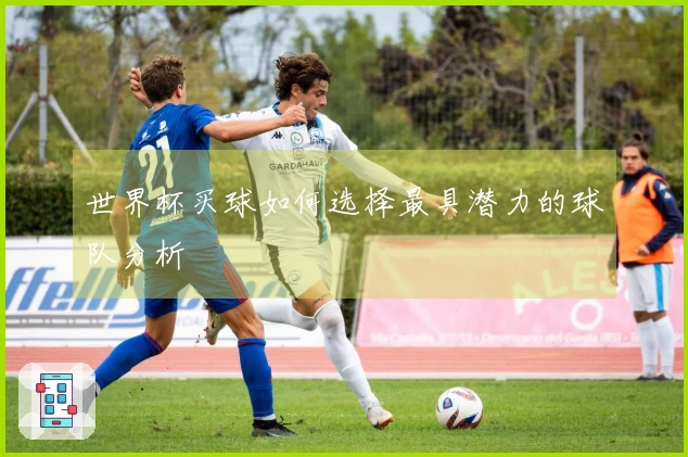 世界杯买球如何选择最具潜力的球队分析