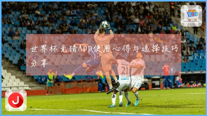 世界杯竞猜App使用心得与选择技巧分享