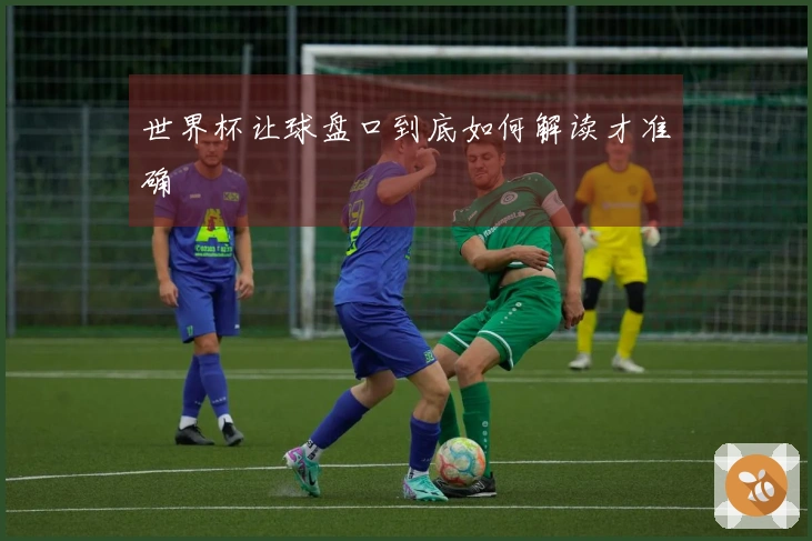 世界杯让球盘口到底如何解读才准确